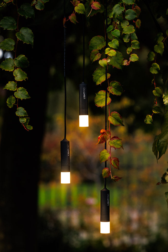 Decorative Lights