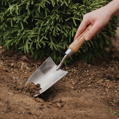 Kent & Stowe Stainless Steel Hand Trowel