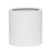 Max S, Glossy White