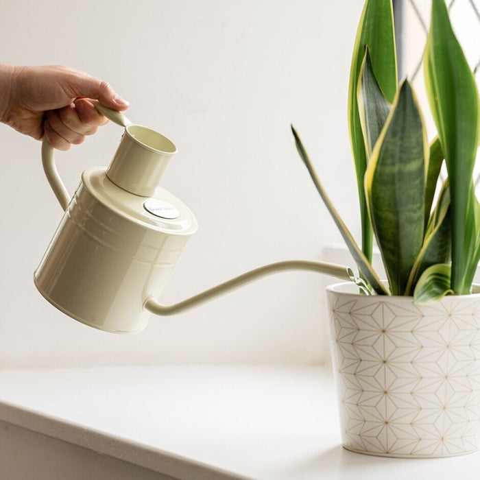 Indoor Metal Watering Can Vintage Cream 1L
