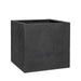 Block M, Midnight Black
