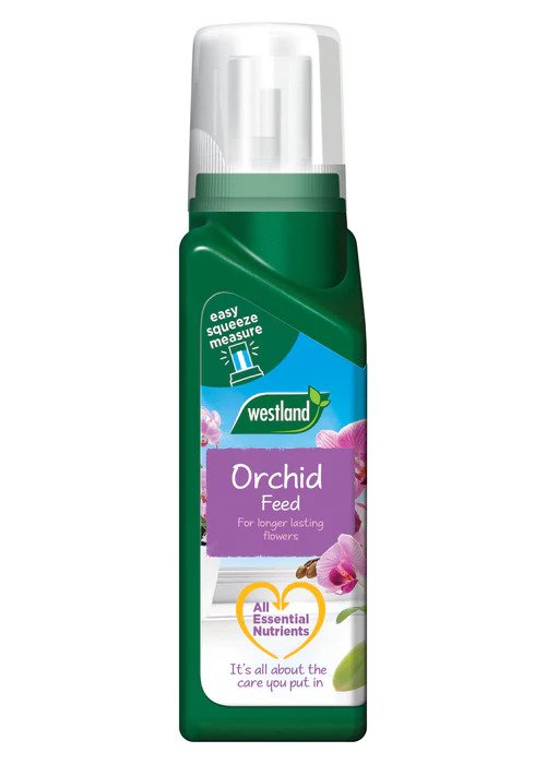 Orchid Feed