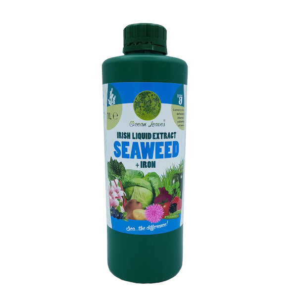 Irish liquid extract seaweed + Iron