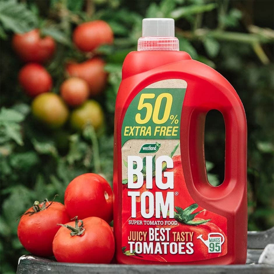 Big Tom Concentrate Feed 1.25L