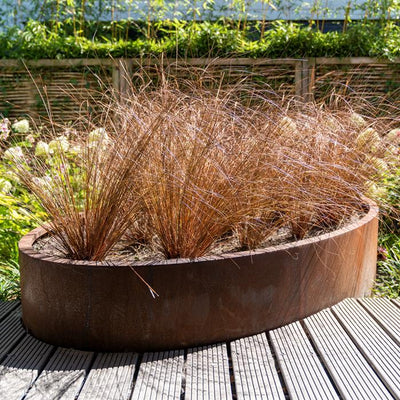 Ellipse Corten Steel Planter