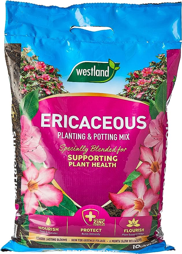 Ericaceous Planting mix 10L