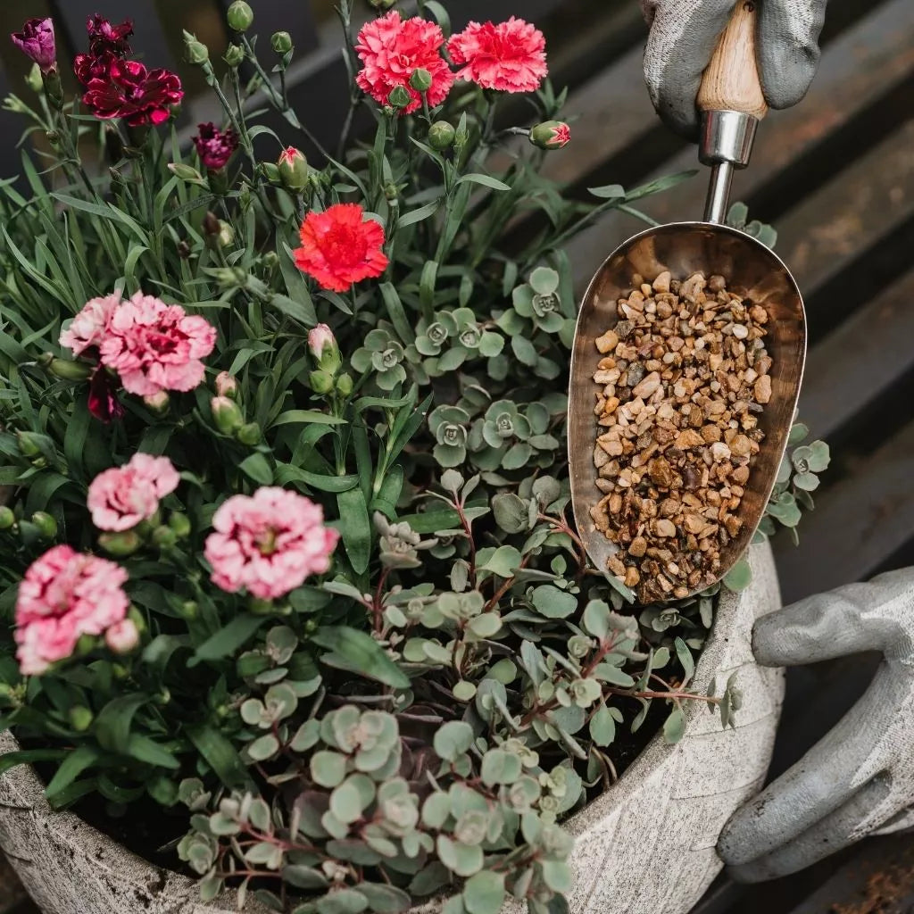 Potting Grit