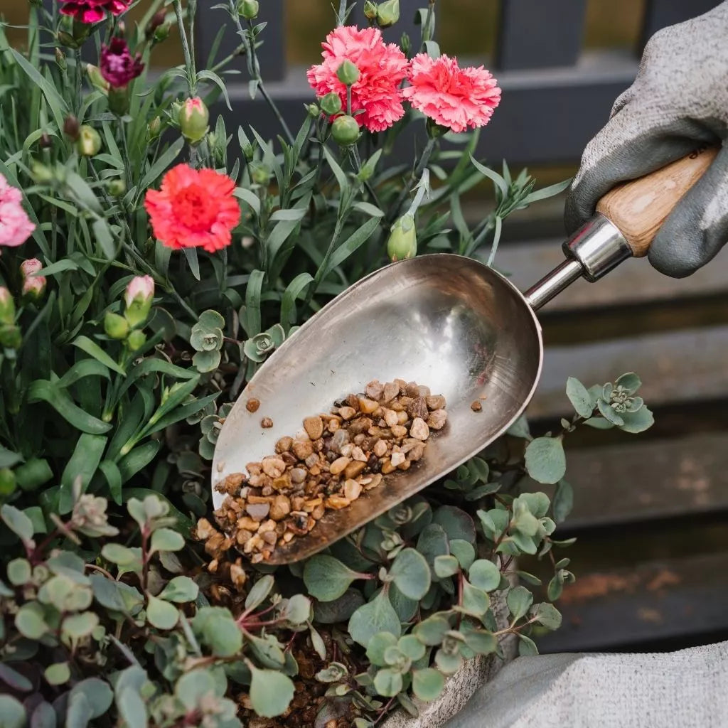 Potting Grit