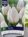 Tulipa 'White Prince'