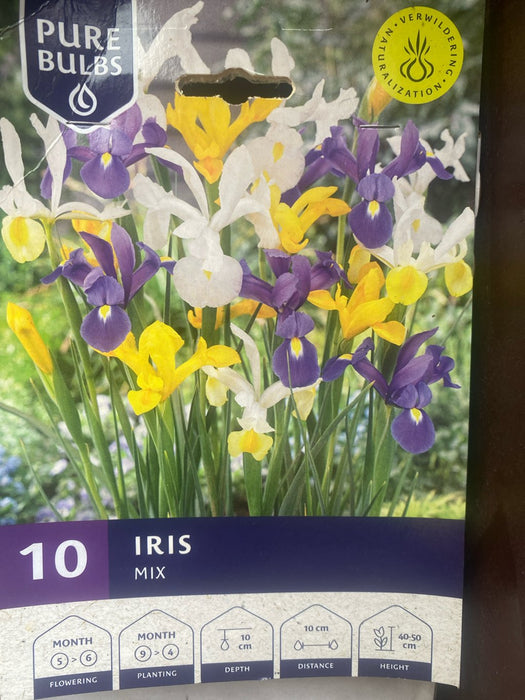 Iris Bulb Mix