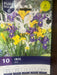 Iris Bulb Mix