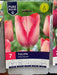 Tulipa 'Pink Sound'