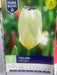 Tulipa 'Purissima'
