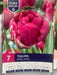 Tulipa 'Royal Acres'