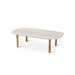Romeo Teak and Travertine Garden Furniture: Coffee table 120 x 65 cm